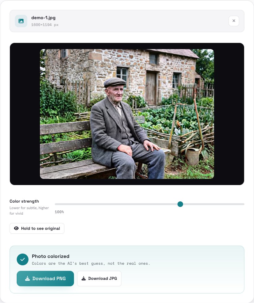 The colorized photo with a Color strength slider and download buttons
