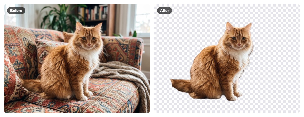 A cat on a patterned sofa next to the cat cut out on a transparent background
