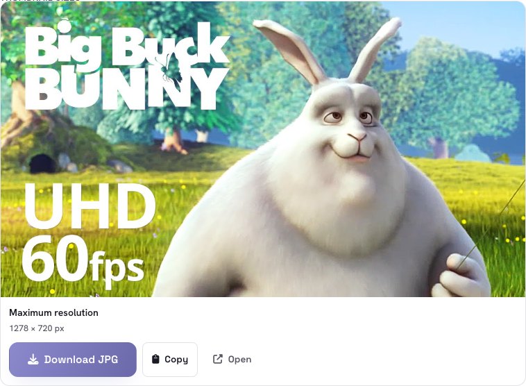 The maximum-resolution thumbnail of a video with Download, Copy and Open buttons