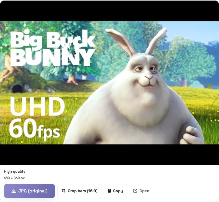 The High quality thumbnail with black bars and the Crop bars (16:9) button